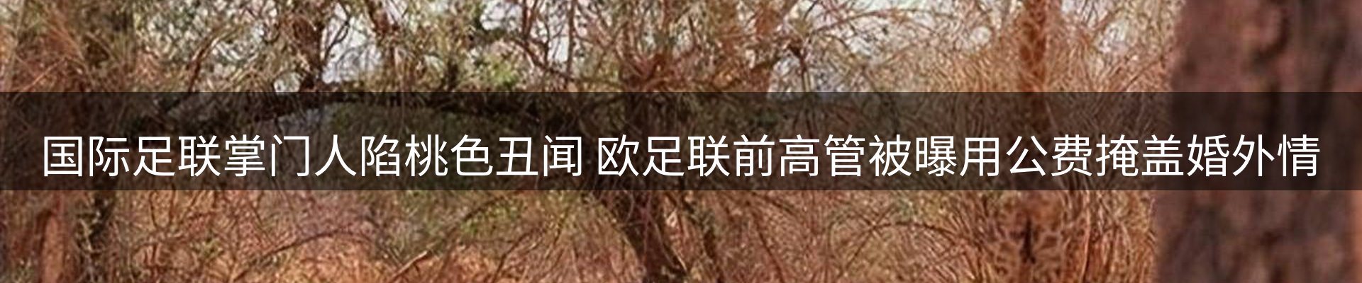 内页banner
