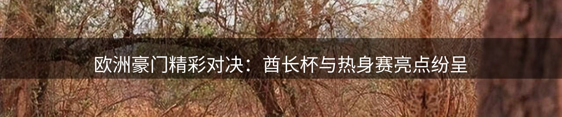 内页banner